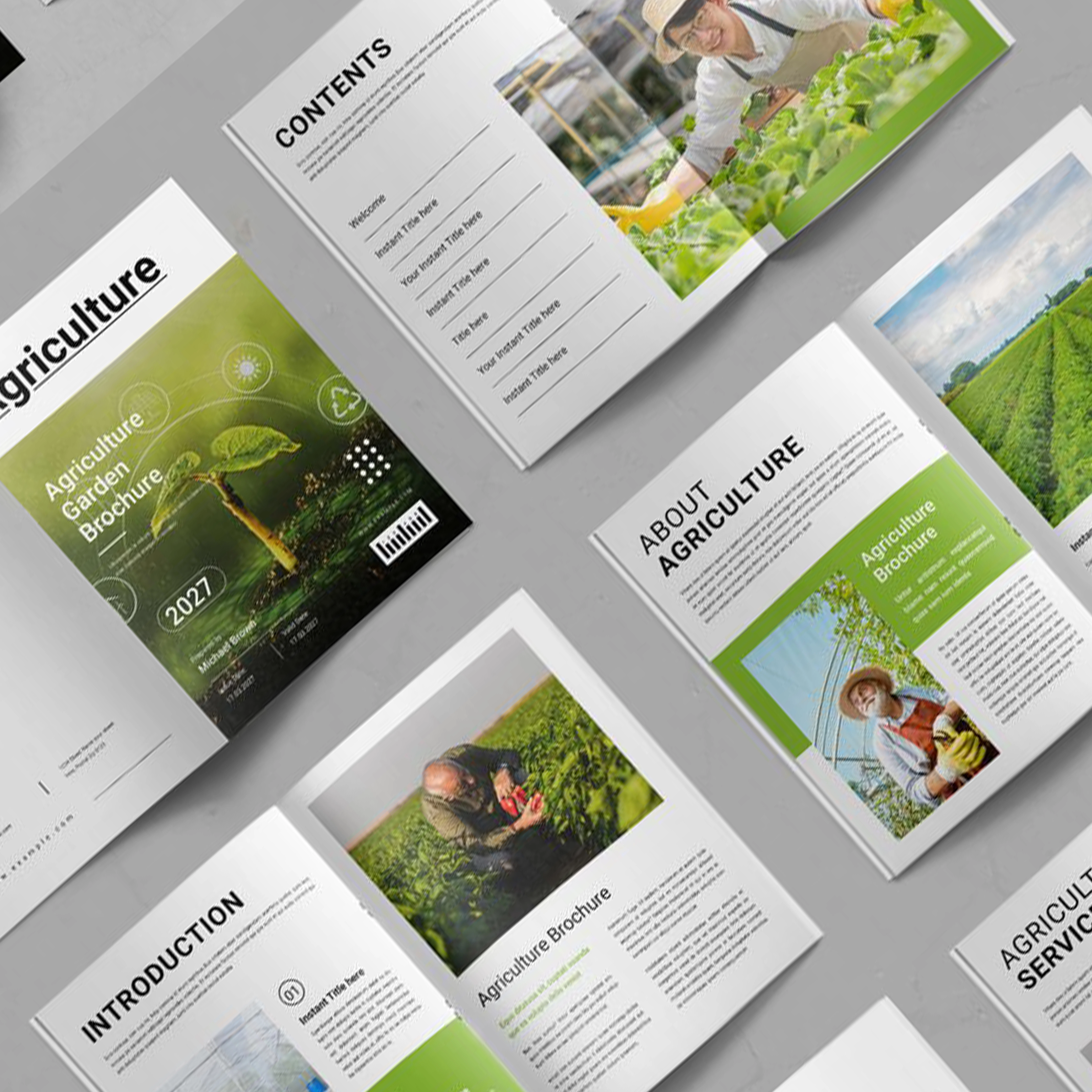 Brochure Design Service Brochure Design Service